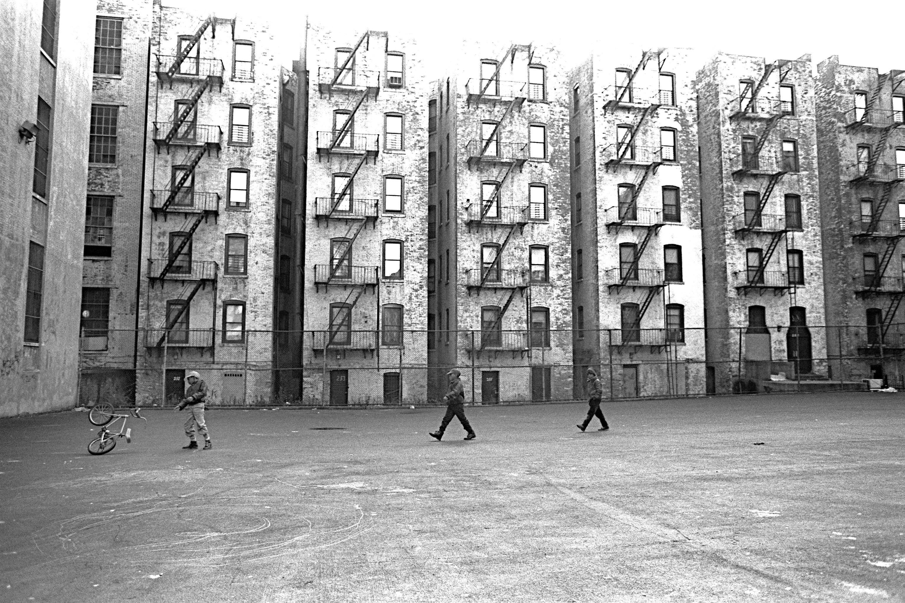 Harlem Courtyard