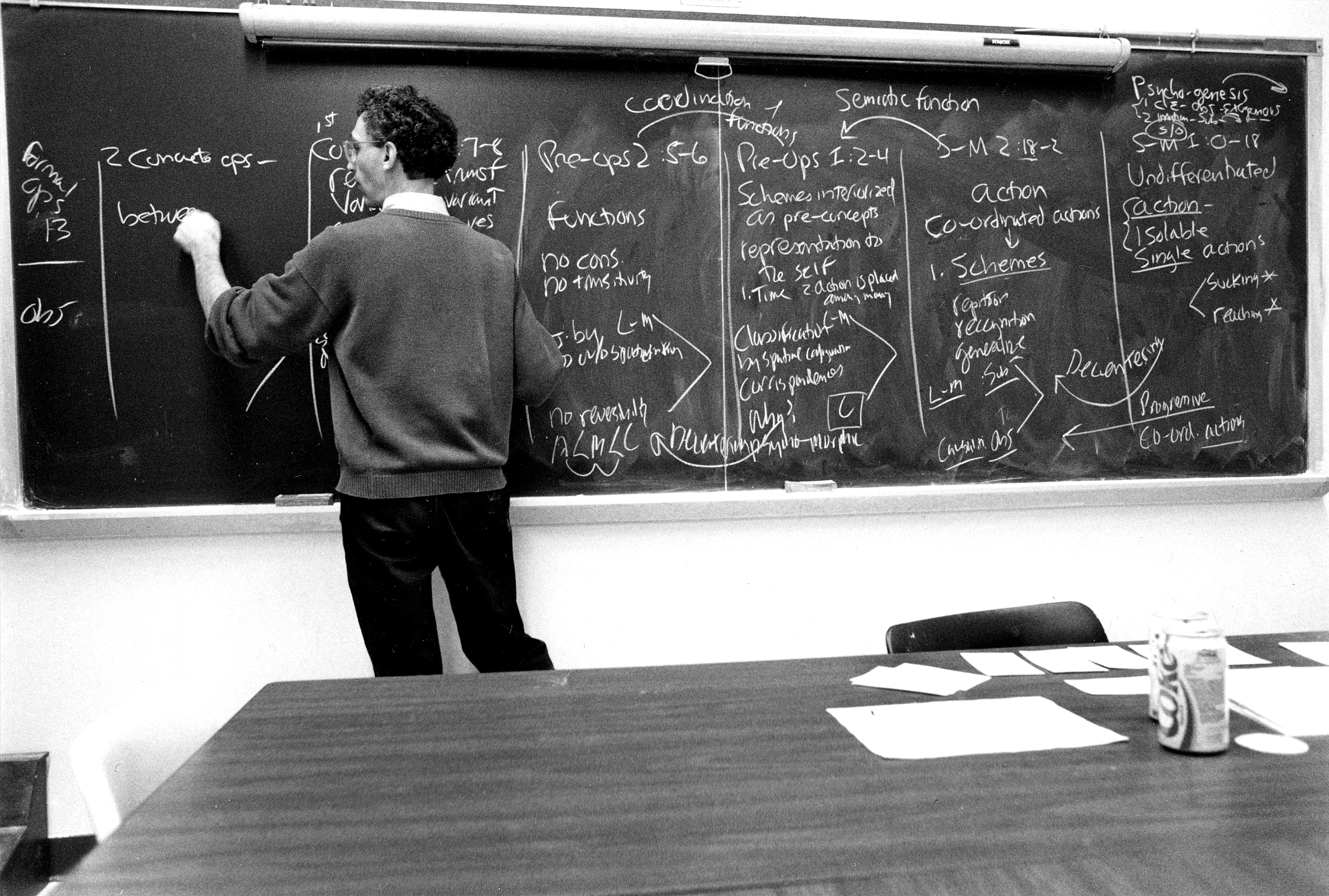 Professor