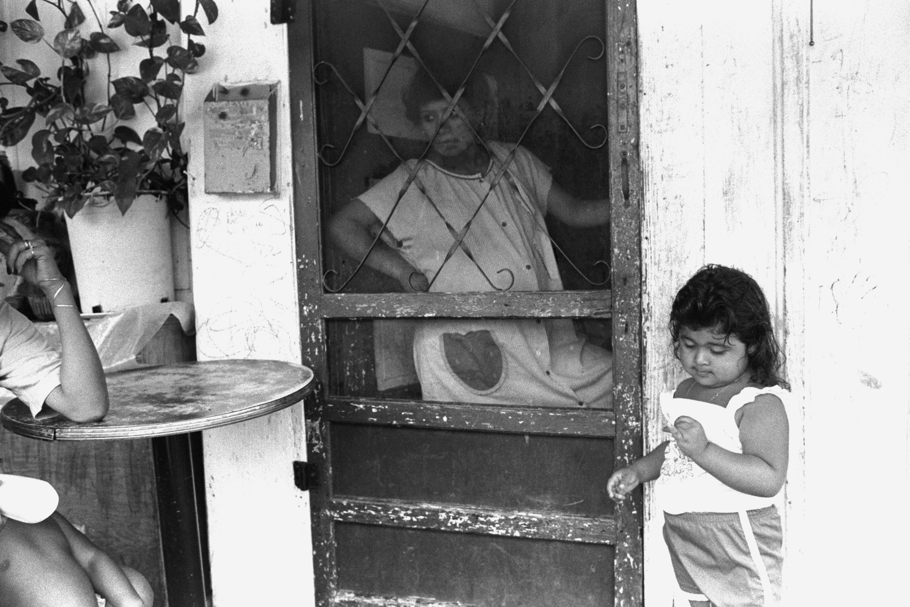 Screen Door