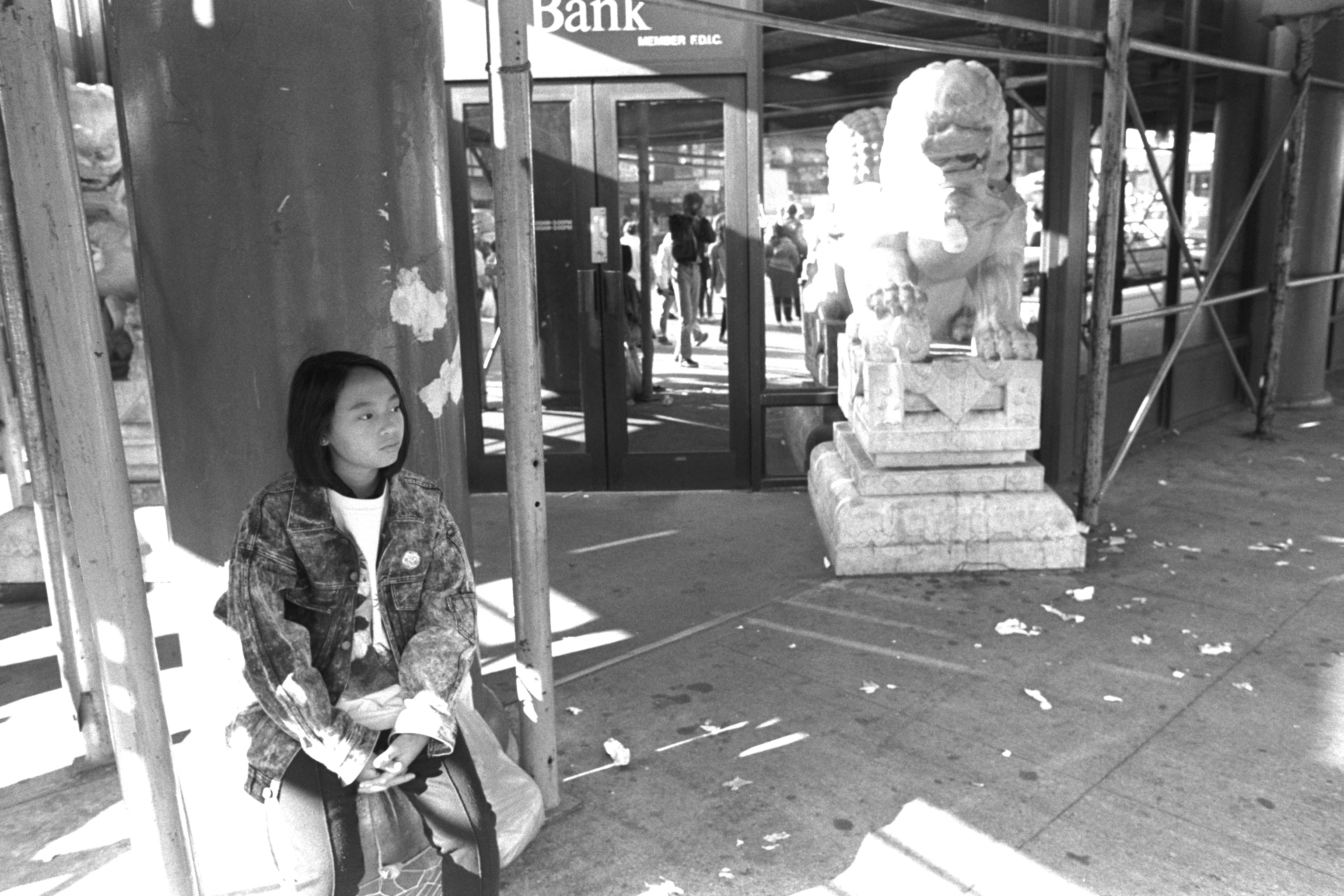 Stone Lion